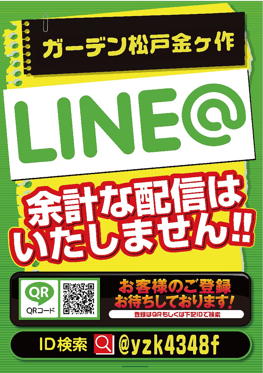 明日シンデレラ