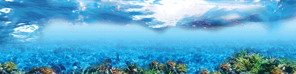 新台入替(大海風)