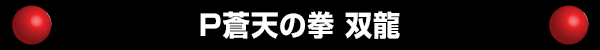 P蒼天の拳 双龍