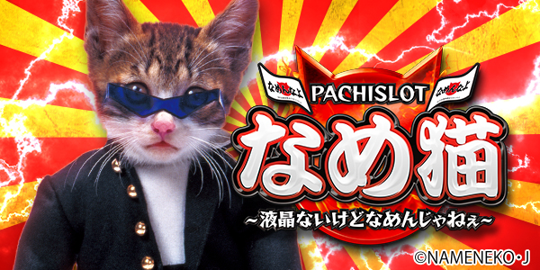 �ѥ������ʤ�ǭ���վ��ʤ����ɤʤ�󤸤�ͤ������Ż߲��