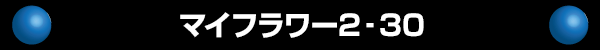 マイフラワー2‐30