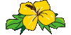 �ʳ��˲�