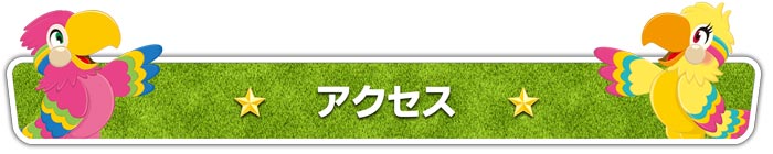 走出したら止まらない！横
