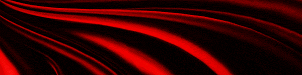 ��ɾ�ˤĤ�����