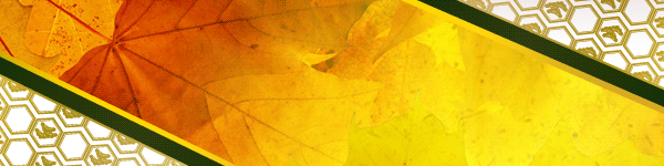 実りの秋、遊びの秋、到来。