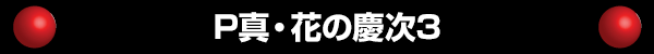 P真・花の慶次3