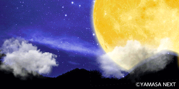 �ѥ������ʥ���