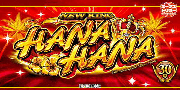 ニューキングハナハナV‐30